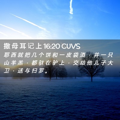 Picture 02 - 撒 母 耳 记 上 16:20 CUVS - 耶 西 就 把 几 个 饼 和 一 皮 袋 酒 - Bible Verse Picture