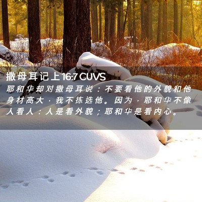 Picture 02 - 撒 母 耳 记 上 16:7 CUVS - 耶 和 华 却 对 撒 母 耳 说 ： 不 要 - Bible Verse Picture