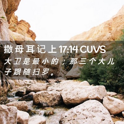 Picture 02 - 撒 母 耳 记 上 17:14 CUVS - 大 卫 是 最 小 的 ； 那 三 个 大 儿 - Bible Verse Picture