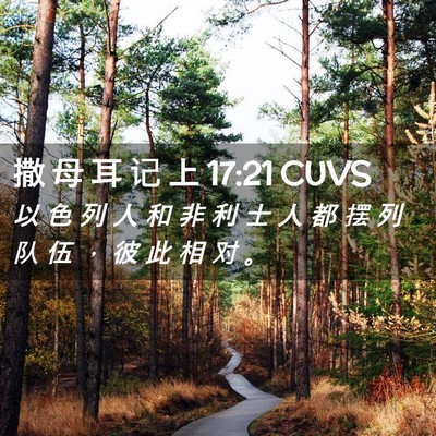 Picture 02 - 撒 母 耳 记 上 17:21 CUVS - 以 色 列 人 和 非 利 士 人 都 摆 列 - Bible Verse Picture