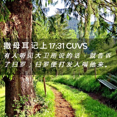 Picture 02 - 撒 母 耳 记 上 17:31 CUVS - 有 人 听 见 大 卫 所 说 的 话 ， 就 - Bible Verse Picture