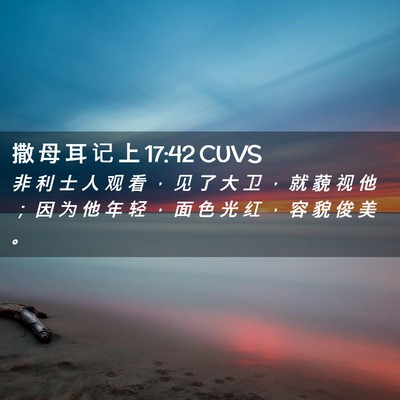 Picture 02 - 撒 母 耳 记 上 17:42 CUVS - 非 利 士 人 观 看 ， 见 了 大 卫 ， - Bible Verse Picture