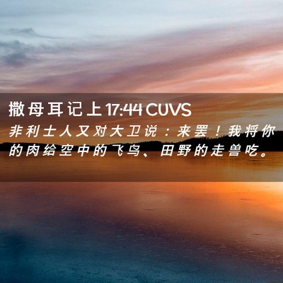 Picture 02 - 撒 母 耳 记 上 17:44 CUVS - 非 利 士 人 又 对 大 卫 说 ： 来 罢 - Bible Verse Picture
