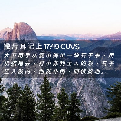 Picture 02 - 撒 母 耳 记 上 17:49 CUVS - 大 卫 用 手 从 囊 中 掏 出 一 块 石 - Bible Verse Picture