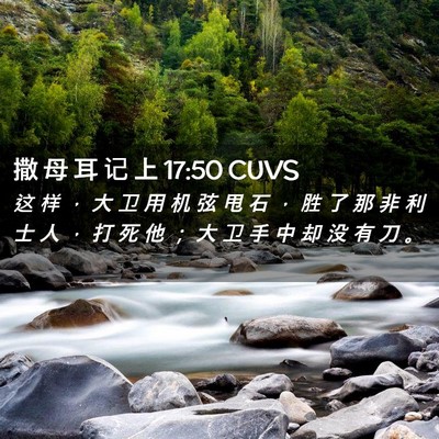 Picture 02 - 撒 母 耳 记 上 17:50 CUVS - 这 样 ， 大 卫 用 机 弦 甩 石 ， 胜 - Bible Verse Picture