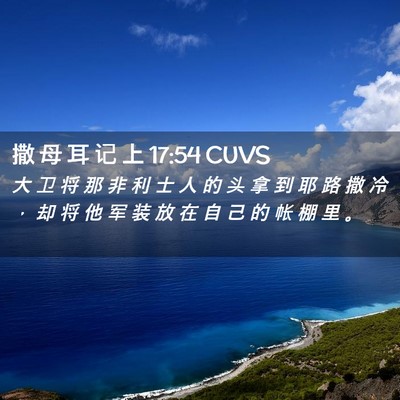 Picture 02 - 撒 母 耳 记 上 17:54 CUVS - 大 卫 将 那 非 利 士 人 的 头 拿 到 - Bible Verse Picture