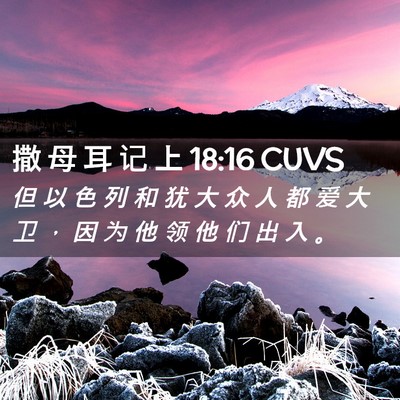 Picture 02 - 撒 母 耳 记 上 18:16 CUVS - 但 以 色 列 和 犹 大 众 人 都 爱 大 - Bible Verse Picture