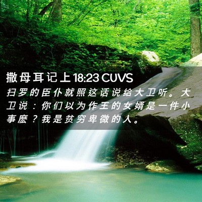 Picture 02 - 撒 母 耳 记 上 18:23 CUVS - 扫 罗 的 臣 仆 就 照 这 话 说 给 大 - Bible Verse Picture