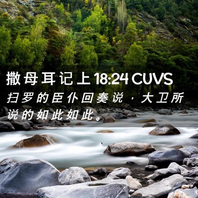 Picture 02 - 撒 母 耳 记 上 18:24 CUVS - 扫 罗 的 臣 仆 回 奏 说 ， 大 卫 所 - Bible Verse Picture