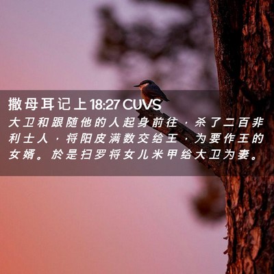 Picture 02 - 撒 母 耳 记 上 18:27 CUVS - 大 卫 和 跟 随 他 的 人 起 身 前 往 - Bible Verse Picture