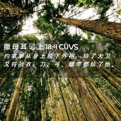 Picture 02 - 撒 母 耳 记 上 18:4 CUVS - 约 拿 单 从 身 上 脱 下 外 袍 ， 给 - Bible Verse Picture
