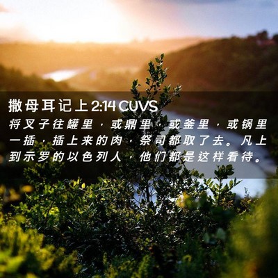 Picture 02 - 撒 母 耳 记 上 2:14 CUVS - 将 叉 子 往 罐 里 ， 或 鼎 里 ， 或 - Bible Verse Picture