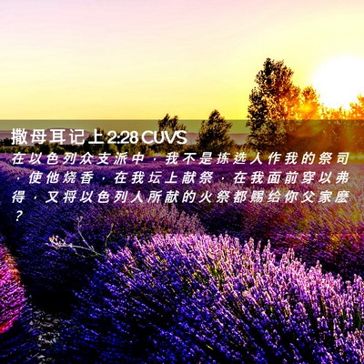 Picture 02 - 撒 母 耳 记 上 2:28 CUVS - 在 以 色 列 众 支 派 中 ， 我 不 是 - Bible Verse Picture
