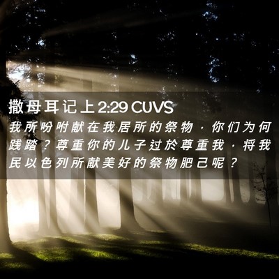 Picture 02 - 撒 母 耳 记 上 2:29 CUVS - 我 所 吩 咐 献 在 我 居 所 的 祭 物 - Bible Verse Picture