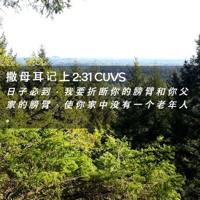 Picture 02 - 撒 母 耳 记 上 2:31 CUVS - 日 子 必 到 ， 我 要 折 断 你 的 膀 - Bible Verse Picture