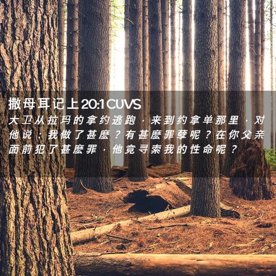 Picture 02 - 撒 母 耳 记 上 20:1 CUVS - 大 卫 从 拉 玛 的 拿 约 逃 跑 ， 来 - Bible Verse Picture