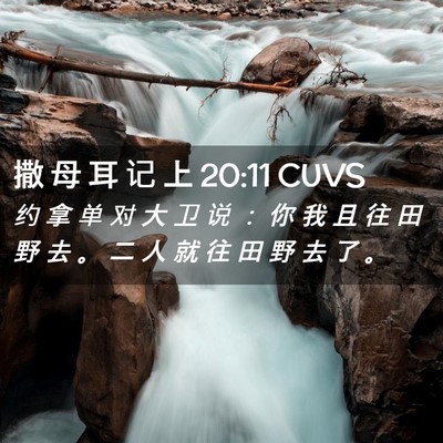 Picture 02 - 撒 母 耳 记 上 20:11 CUVS - 约 拿 单 对 大 卫 说 ： 你 我 且 往 - Bible Verse Picture
