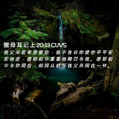 Picture 02 - 撒 母 耳 记 上 20:13 CUVS - 我 父 亲 若 有 意 害 你 ， 我 不 告 - Bible Verse Picture
