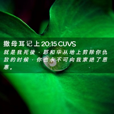 Picture 02 - 撒 母 耳 记 上 20:15 CUVS - 就 是 我 死 後 ， 耶 和 华 从 地 上 - Bible Verse Picture