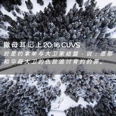 Picture 02 - 撒 母 耳 记 上 20:16 CUVS - 於 是 约 拿 单 与 大 卫 家 结 盟 ， - Bible Verse Picture