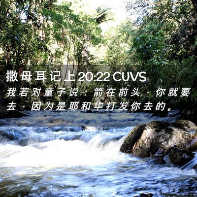 Picture 02 - 撒 母 耳 记 上 20:22 CUVS - 我 若 对 童 子 说 ： 箭 在 前 头 ， - Bible Verse Picture