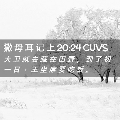 Picture 02 - 撒 母 耳 记 上 20:24 CUVS - 大 卫 就 去 藏 在 田 野 。 到 了 初 - Bible Verse Picture