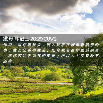 Picture 02 - 撒 母 耳 记 上 20:29 CUVS - 他 说 ： 求 你 容 我 去 ， 因 为 我 - Bible Verse Picture