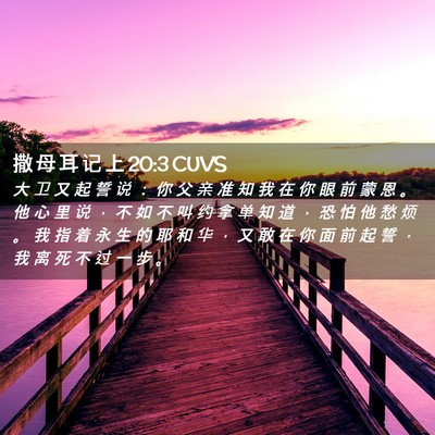 Picture 02 - 撒 母 耳 记 上 20:3 CUVS - 大 卫 又 起 誓 说 ： 你 父 亲 准 知 - Bible Verse Picture
