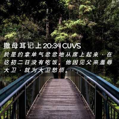 Picture 02 - 撒 母 耳 记 上 20:34 CUVS - 於 是 约 拿 单 气 忿 忿 地 从 席 上 - Bible Verse Picture