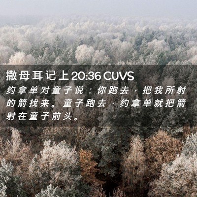 Picture 02 - 撒 母 耳 记 上 20:36 CUVS - 约 拿 单 对 童 子 说 ： 你 跑 去 ， - Bible Verse Picture
