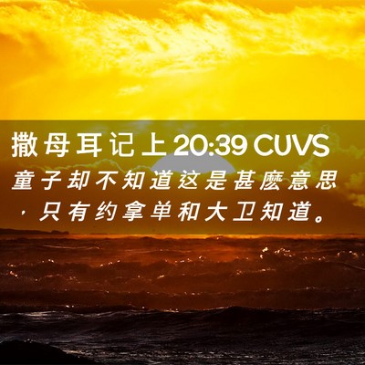 Picture 02 - 撒 母 耳 记 上 20:39 CUVS - 童 子 却 不 知 道 这 是 甚 麽 意 思 - Bible Verse Picture