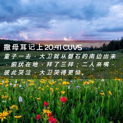 Picture 02 - 撒 母 耳 记 上 20:41 CUVS - 童 子 一 去 ， 大 卫 就 从 磐 石 的 - Bible Verse Picture