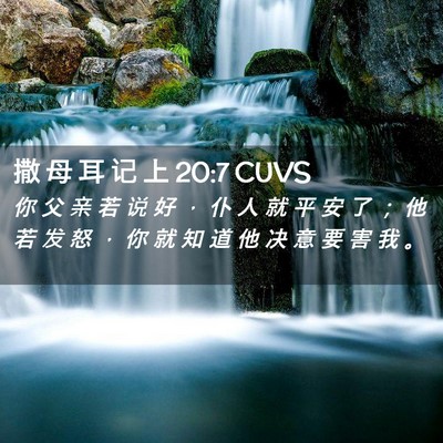 Picture 02 - 撒 母 耳 记 上 20:7 CUVS - 你 父 亲 若 说 好 ， 仆 人 就 平 安 - Bible Verse Picture