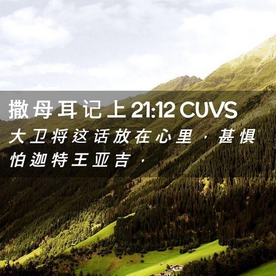 Picture 02 - 撒 母 耳 记 上 21:12 CUVS - 大 卫 将 这 话 放 在 心 里 ， 甚 惧 - Bible Verse Picture