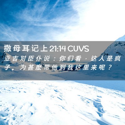 Picture 02 - 撒 母 耳 记 上 21:14 CUVS - 亚 吉 对 臣 仆 说 ： 你 们 看 ， 这 - Bible Verse Picture