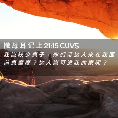 Picture 02 - 撒 母 耳 记 上 21:15 CUVS - 我 岂 缺 少 疯 子 ， 你 们 带 这 人 - Bible Verse Picture