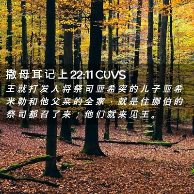 Picture 02 - 撒 母 耳 记 上 22:11 CUVS - 王 就 打 发 人 将 祭 司 亚 希 突 的 - Bible Verse Picture