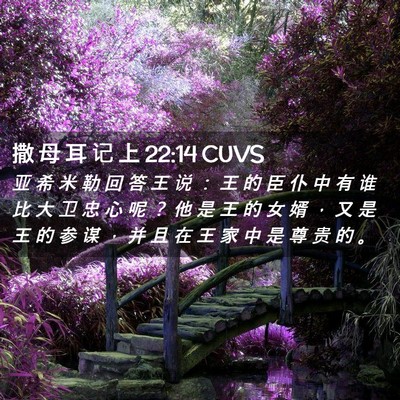 Picture 02 - 撒 母 耳 记 上 22:14 CUVS - 亚 希 米 勒 回 答 王 说 ： 王 的 臣 - Bible Verse Picture