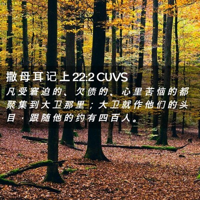Picture 02 - 撒 母 耳 记 上 22:2 CUVS - 凡 受 窘 迫 的 、 欠 债 的 、 心 里 - Bible Verse Picture