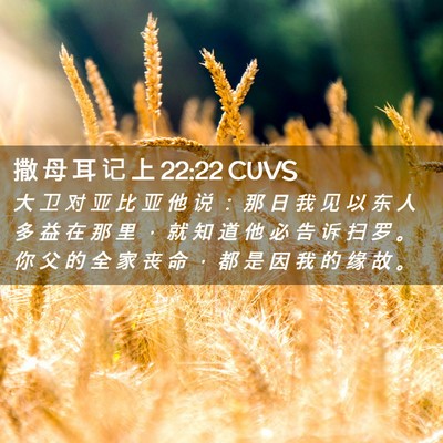 Picture 02 - 撒 母 耳 记 上 22:22 CUVS - 大 卫 对 亚 比 亚 他 说 ： 那 日 我 - Bible Verse Picture