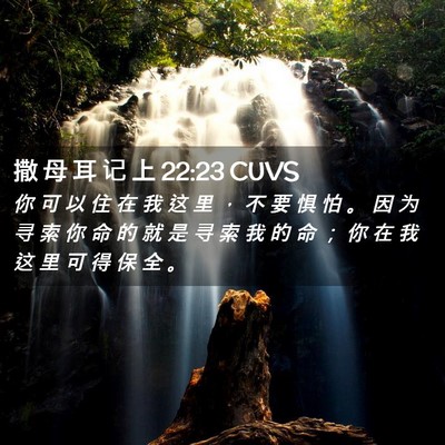Picture 02 - 撒 母 耳 记 上 22:23 CUVS - 你 可 以 住 在 我 这 里 ， 不 要 惧 - Bible Verse Picture