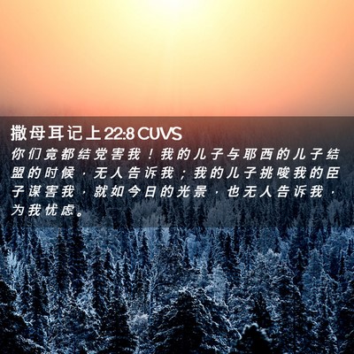 Picture 02 - 撒 母 耳 记 上 22:8 CUVS - 你 们 竟 都 结 党 害 我 ！ 我 的 儿 - Bible Verse Picture