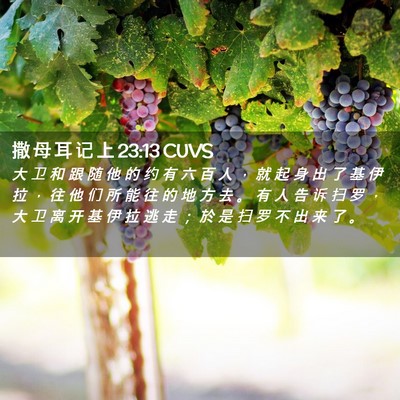 Picture 02 - 撒 母 耳 记 上 23:13 CUVS - 大 卫 和 跟 随 他 的 约 有 六 百 人 - Bible Verse Picture