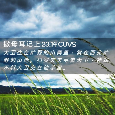 Picture 02 - 撒 母 耳 记 上 23:14 CUVS - 大 卫 住 在 旷 野 的 山 寨 里 ， 常 - Bible Verse Picture