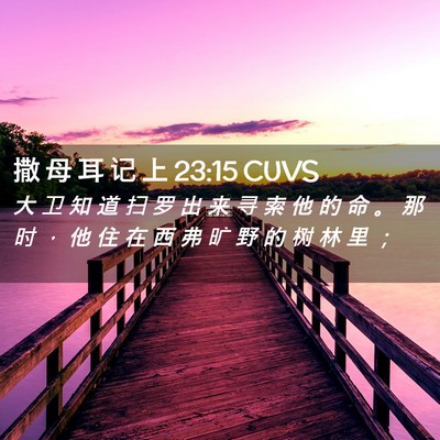 Picture 02 - 撒 母 耳 记 上 23:15 CUVS - 大 卫 知 道 扫 罗 出 来 寻 索 他 的 - Bible Verse Picture