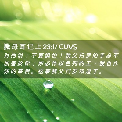 Picture 02 - 撒 母 耳 记 上 23:17 CUVS - 对 他 说 ： 不 要 惧 怕 ！ 我 父 扫 - Bible Verse Picture