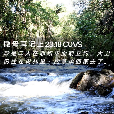Picture 02 - 撒 母 耳 记 上 23:18 CUVS - 於 是 二 人 在 耶 和 华 面 前 立 约 - Bible Verse Picture