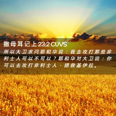 Picture 02 - 撒 母 耳 记 上 23:2 CUVS - 所 以 大 卫 求 问 耶 和 华 说 ： 我 - Bible Verse Picture