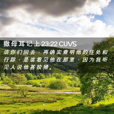 Picture 02 - 撒 母 耳 记 上 23:22 CUVS - 请 你 们 回 去 ， 再 确 实 查 明 他 - Bible Verse Picture