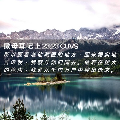 Picture 02 - 撒 母 耳 记 上 23:23 CUVS - 所 以 要 看 准 他 藏 匿 的 地 方 ， - Bible Verse Picture